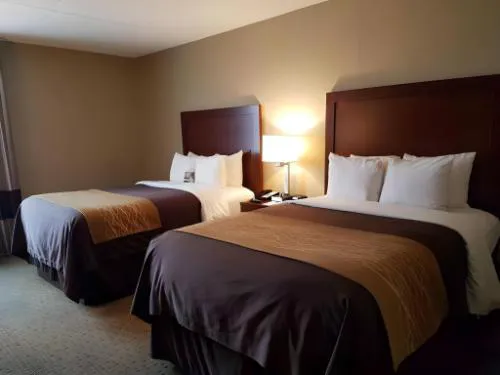 Comfort Inn Wethersfield - Hartford hotel detail image 1