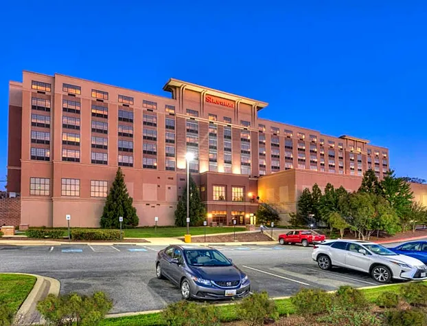 Sheraton Baltimore Washington Airport Hotel - BWI hotel detail image 4