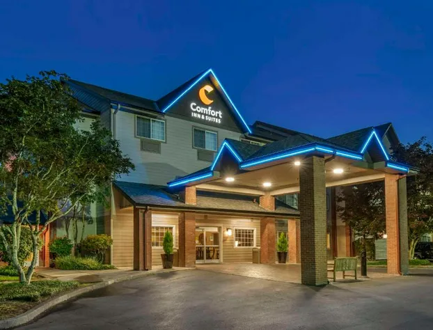 Comfort Inn & Suites Tualatin - Lake Oswego South hotel detail image 2