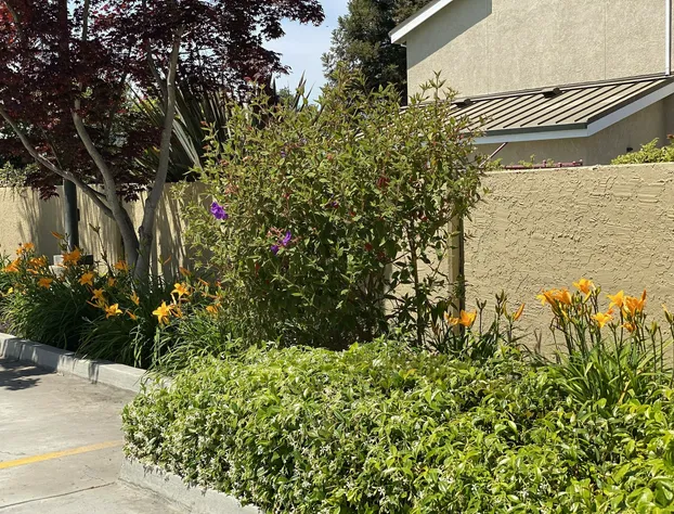 Holiday Inn Express Redwood City-Central by IHG hotel detail image 4