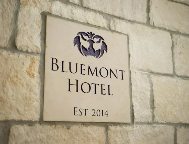 The Bluemont Hotel hotel detail image 2
