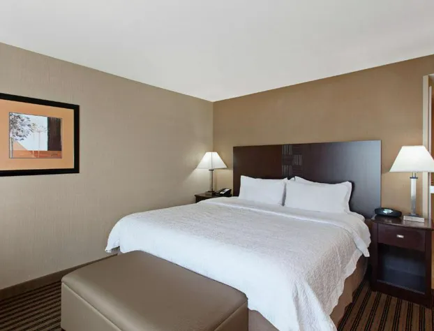 Hampton Inn & Suites Fresno-Northwest hotel detail image 4