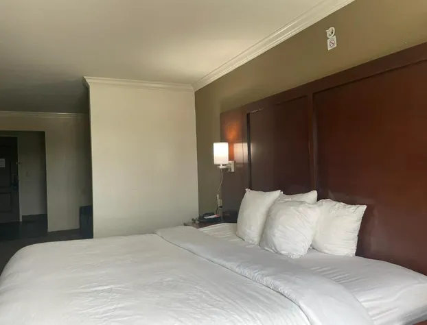 Comfort Suites Cincinnati North hotel detail image 3