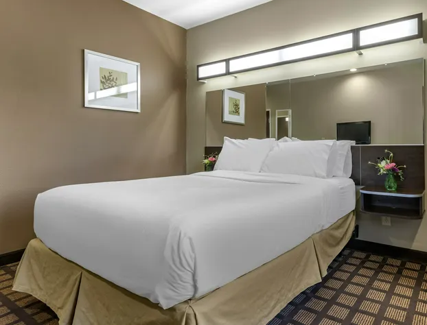 Microtel Inn & Suites By Wyndham Sylva Dillsboro Area hotel detail image 3