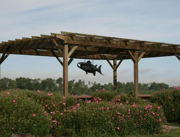 The Redwood Riverwalk, A Boutique Hotel hotel detail image 4