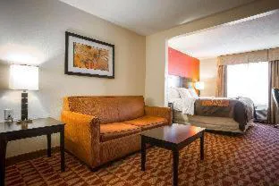 Comfort Inn & Suites Augusta Fort Gordon Area hotel detail image 3