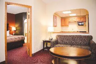 Quality Inn & Suites Ames Conference Center Near ISU Campus hotel detail image 3