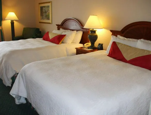 Hilton Garden Inn Columbus Airport hotel detail image 4