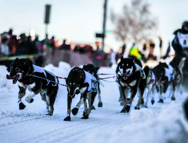 GuestHouse Inn & Suites Anchorage Inn hotel detail image 2