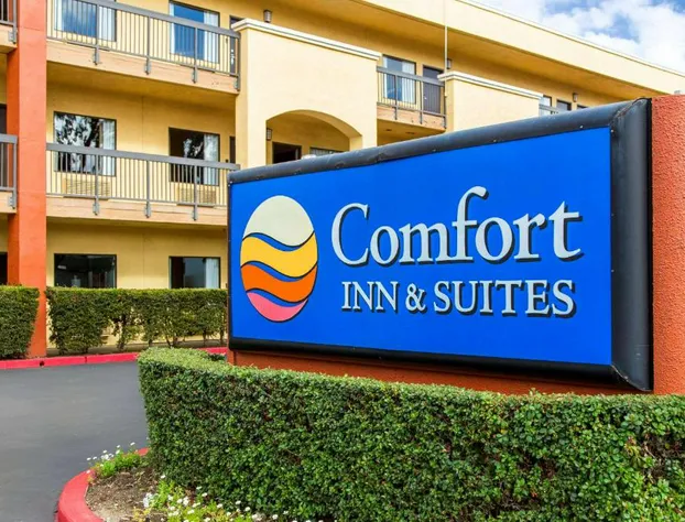 Comfort Inn and Suites San Francisco Airport North hotel detail image 2