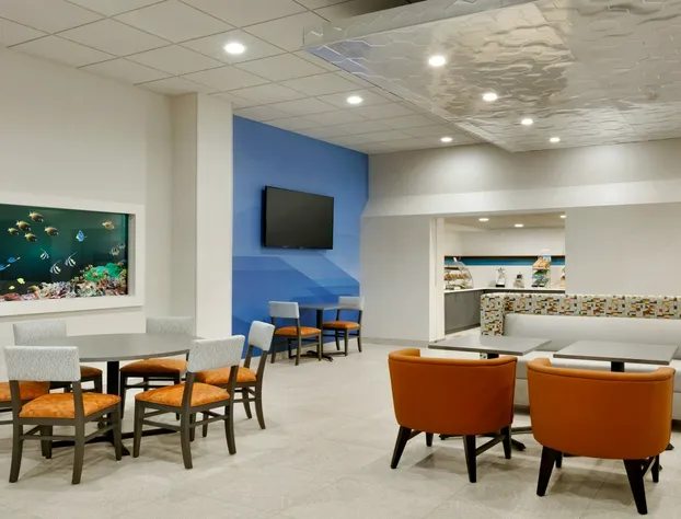 Holiday Inn Express Williamsbrg Busch Gardens Area by IHG hotel detail image 4