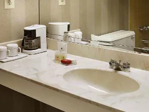 Ramada by Wyndham Augusta Downtown Hotel & Conference Center hotel detail image 4