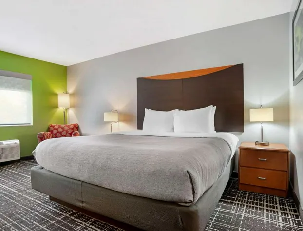 Quality Inn & Suites Birmingham - Highway 280 hotel detail image 4