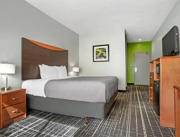 Quality Inn & Suites Birmingham - Highway 280 hotel detail image 3