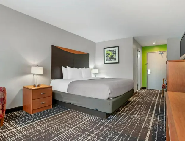 Quality Inn & Suites Birmingham - Highway 280 hotel detail image 4