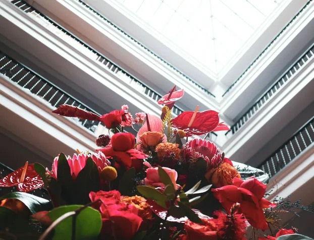 Estancia del Norte San Antonio, Tapestry Collection by Hilton hotel detail image 4