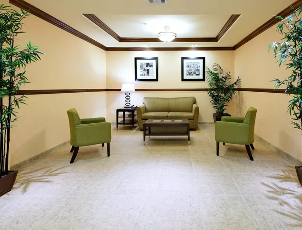 Holiday Inn Express Hotel & Suites FRESNO NORTHWEST-HERNDON by IHG hotel detail image 3