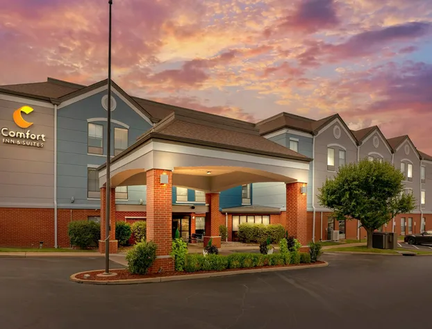 Comfort Inn & Suites Saint Louis Lafayette Square hotel detail image 1