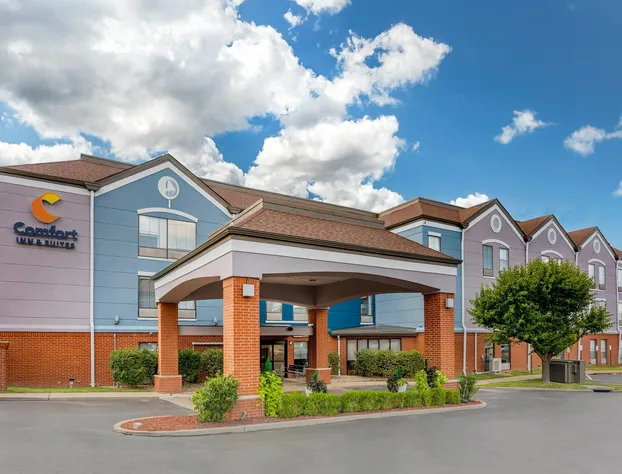 Comfort Inn & Suites Saint Louis Lafayette Square hotel detail image 2