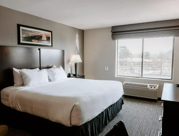 Wingate by Wyndham Chantilly / Dulles Airport hotel detail image 4