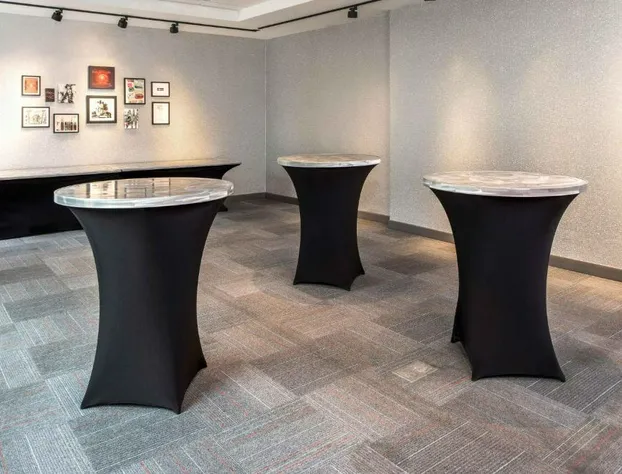 Aloft Charlotte Ballantyne hotel detail image 4