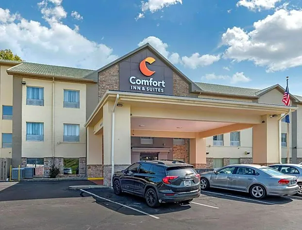 Comfort Inn & Suites hotel detail image 1