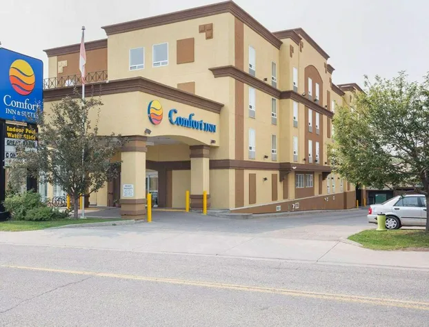 Comfort Inn & Suites University hotel detail image 1