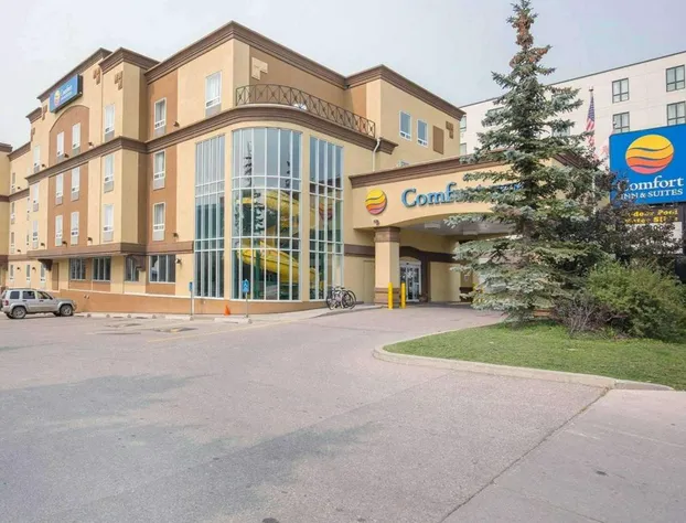 Comfort Inn & Suites University hotel detail image 2