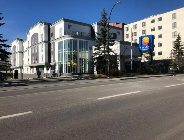 Comfort Inn & Suites University hotel detail image 3