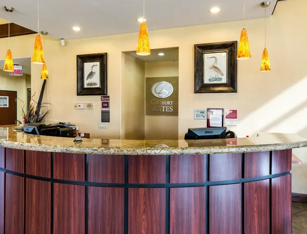 Comfort Suites near NASA - Clear Lake hotel detail image 4