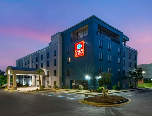 Comfort Suites Atlanta Airport hotel detail image 3