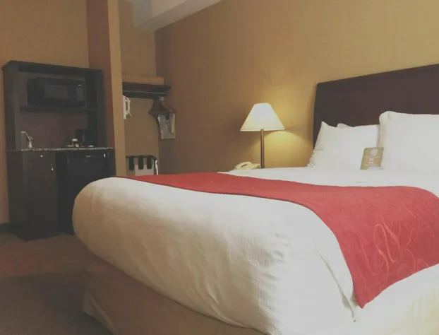 Comfort Inn & Suites hotel detail image 3