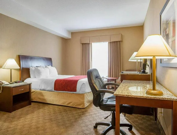 Comfort Inn & Suites hotel detail image 4