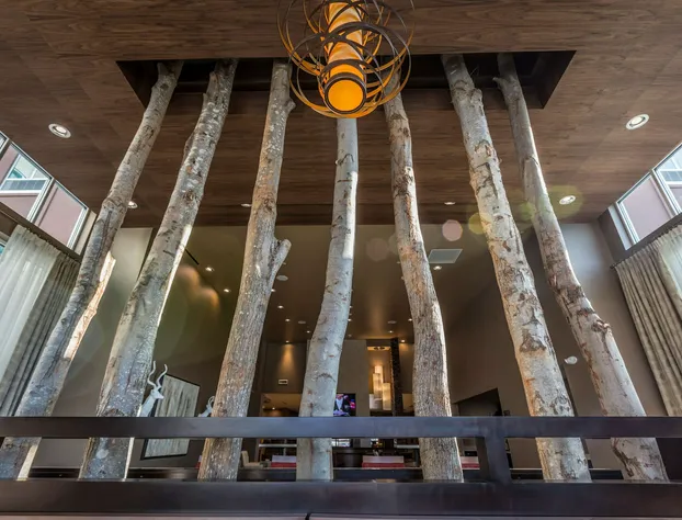 Homewood Suites by Hilton Charlotte Ballantyne, NC hotel detail image 1