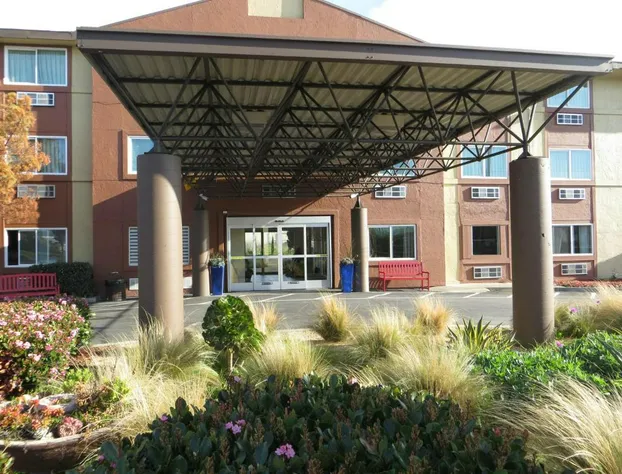 Hotel Focus SFO hotel detail image 3