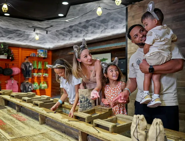 Great Wolf Lodge Boston / Fitchburg, MA hotel detail image 4