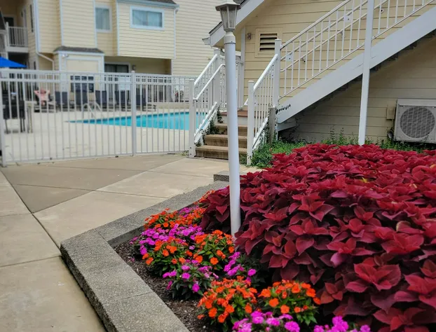 Sonesta ES Suites St. Louis - Chesterfield hotel detail image 4