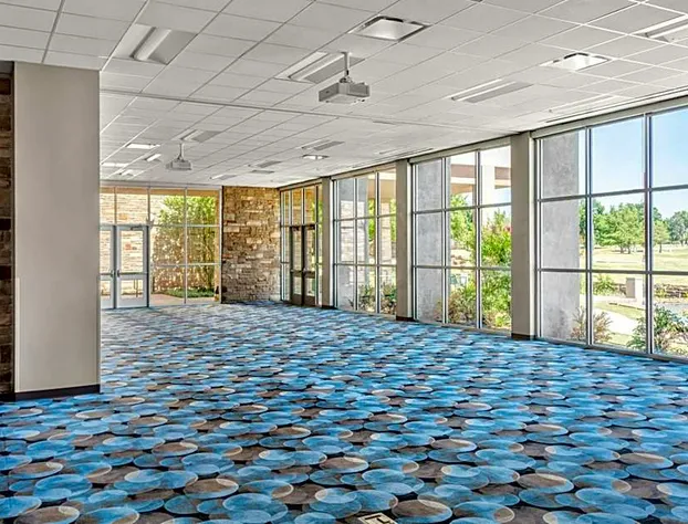 Delta Hotels by Marriott Midwest City at the Reed Conference Center hotel detail image 3