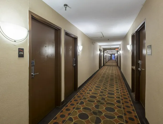 Red Roof Inn & Suites Cincinnati North - Mason hotel detail image 3