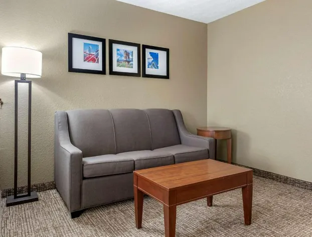 Comfort Inn & Suites Cincinnati Eastgate hotel detail image 3