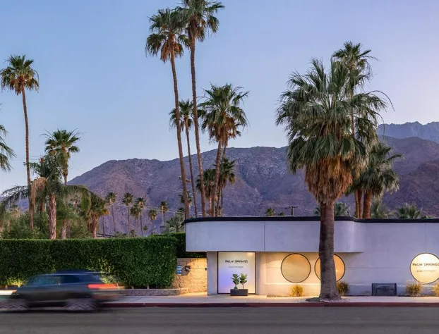 The Palm Springs Hotel hotel detail image 1