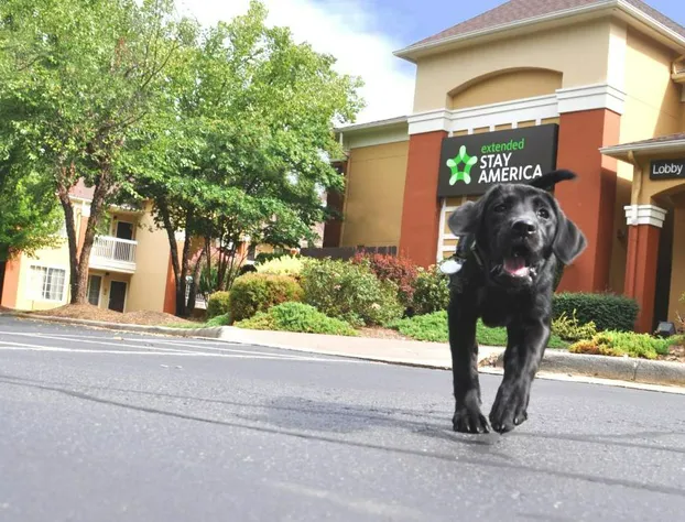 Extended Stay America Suites Albuquerque Airport hotel detail image 2