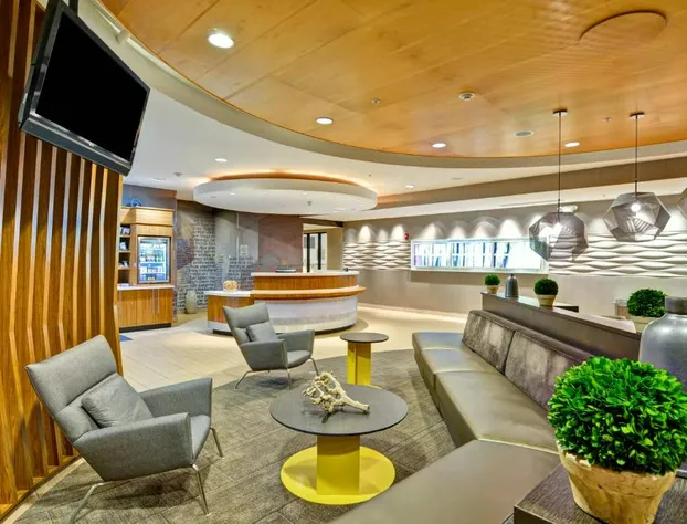 SpringHill Suites by Marriott Cincinnati Airport South hotel detail image 3