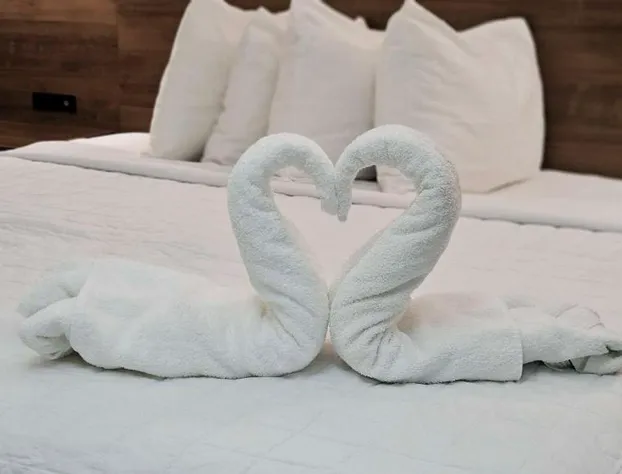 Best Western Hopkinsville KY - Brand New Rooms hotel detail image 4