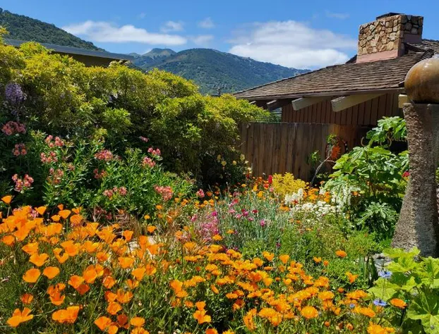 Carmel Valley Lodge and Resort hotel detail image 3