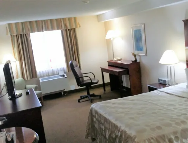 Travelodge by Wyndham Vancouver Airport hotel detail image 4