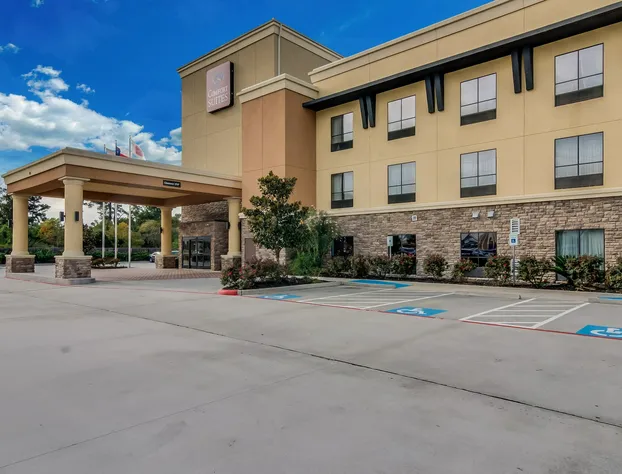 Comfort Suites Old Town Spring hotel detail image 1