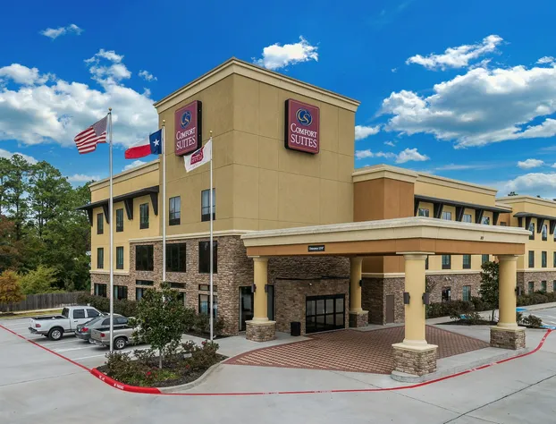 Comfort Suites Old Town Spring hotel detail image 2