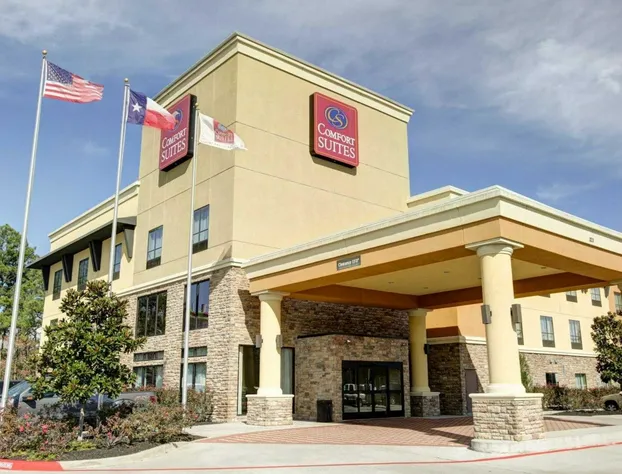 Comfort Suites Old Town Spring hotel detail image 3