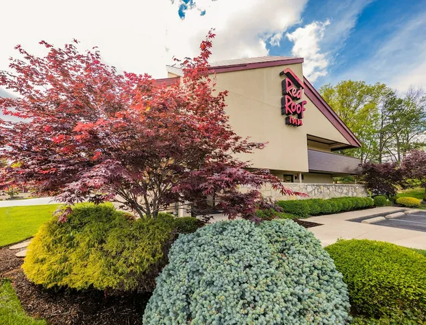 Red Roof Inn Cincinnati Northeast - Blue Ash hotel detail image 2